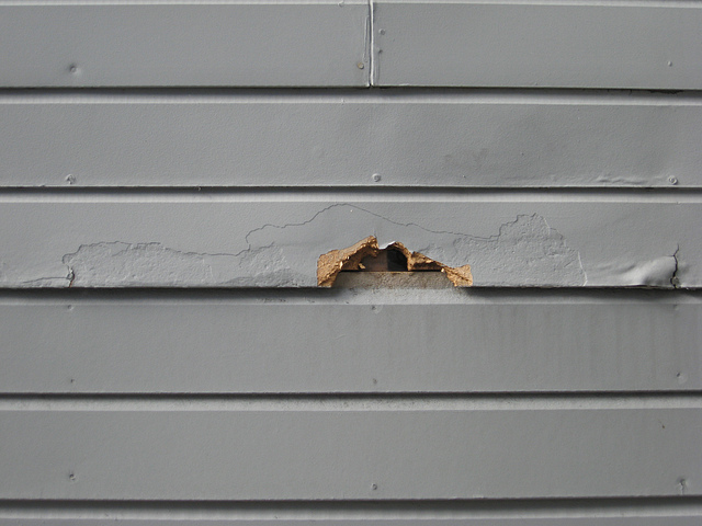 Damaged Siding