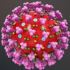 coronavirus